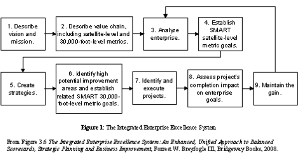 The Integrated Enterprise Excellence (IEE) system