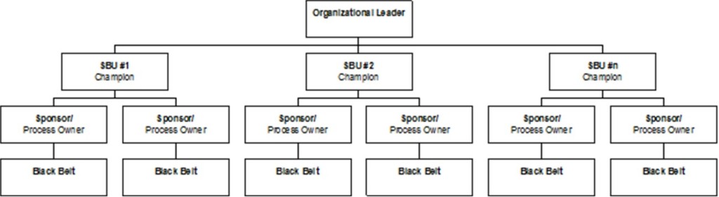 lean six sigma introduction and its infrastructure