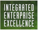 Integrated Enterprise Excellence System