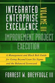 A Lean Six Sigma DMAIC Process Template Enhancement book