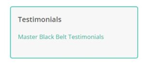 Lean six sigma implementation and organizational culture: Master Black Belt testimonials